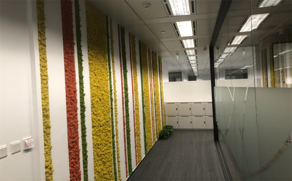 上海辦公室裝修房地產服務類公司辦公室-第3張圖片-上海古都建筑設計集團